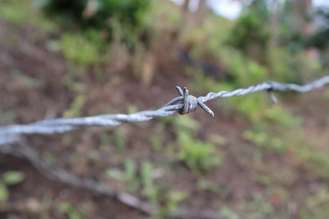 lawyer narbonne neighbour disputes
